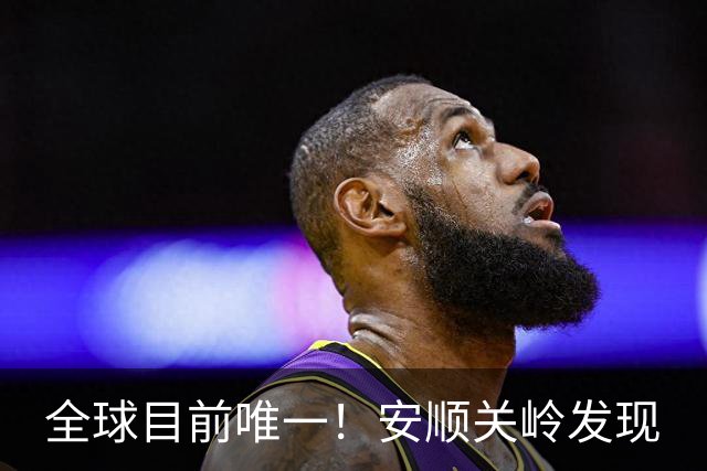 全球目前唯一！安顺关岭发现