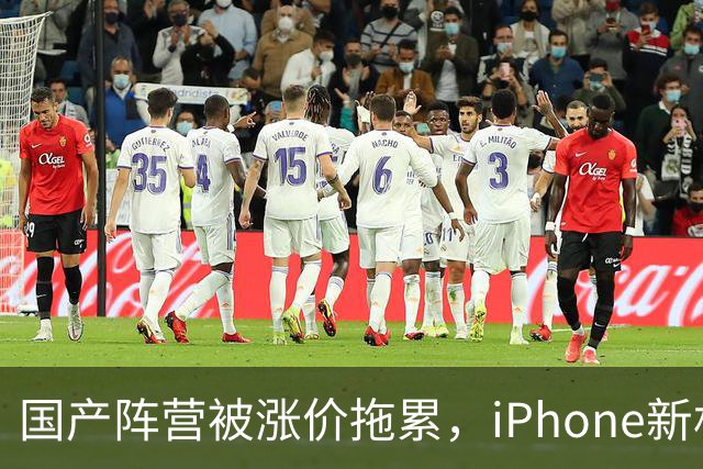 国产阵营被涨价拖累，iPhone新机中国销量增长29%